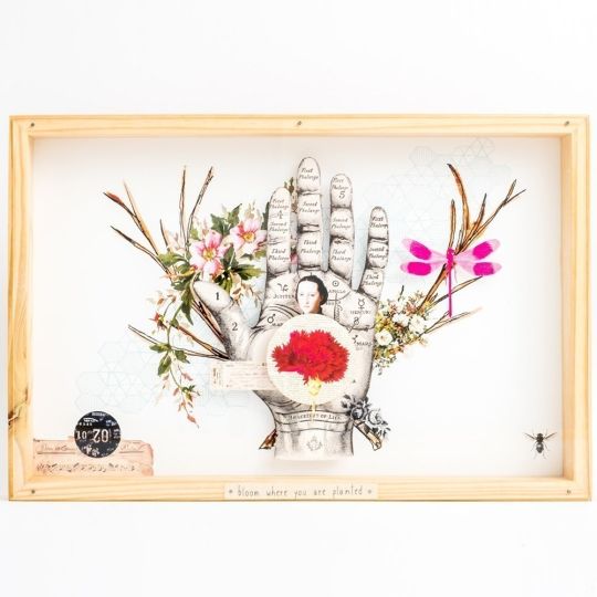 Quadro Box Colagem - Bloom Where you are Planted mercatto casa